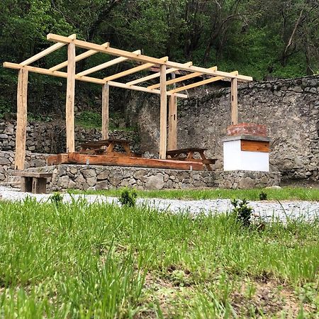 Sasca 362 Ap1 Villa Sasca Montană Екстериор снимка